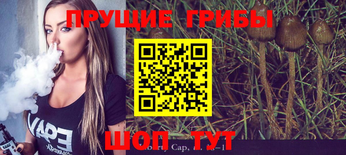 Кирово-Чепецк  Галлюциногенные грибы Magic Shrooms  Вход с VPN 