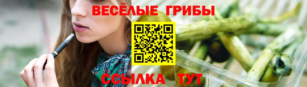 Псилоцибиновые грибы Psilocybine cubensis Кирово-Чепецк